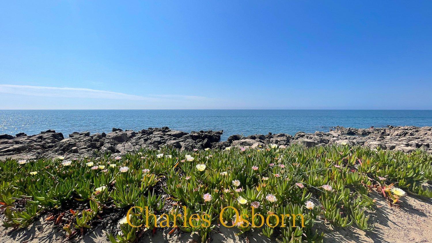 Terramer - Residence Vue Mer Сет Екстер'єр фото
